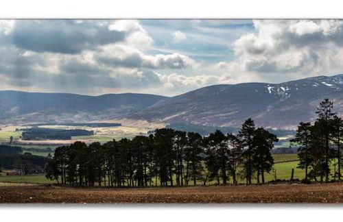 Traditional Family Home in Royal Deeside - Photo 16