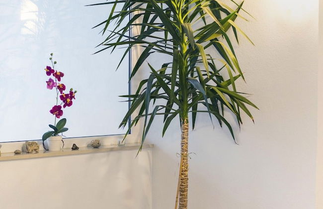 Modern 100m2 apt With the Terrace & Beautiful View - Foto 19