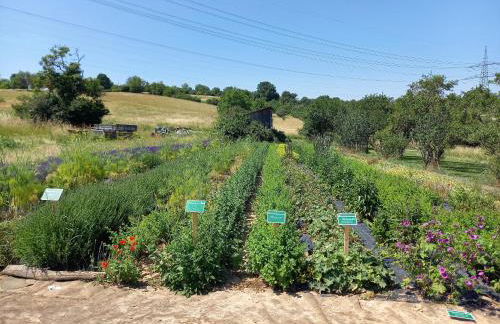 Freilandhof - Foto 41