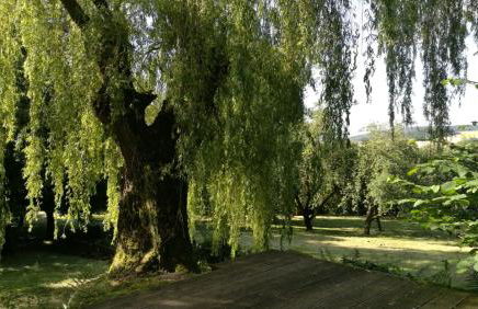 "Haus am Knobben" - Photo 6