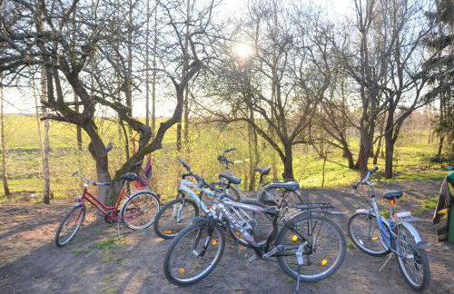 Dom na Warmii -Siedlisko Jabłonka - Foto 10