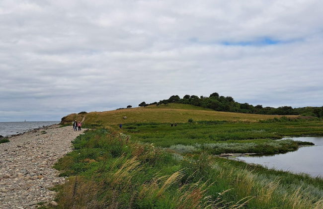 4 Person Holiday Home in Martofte - Foto 10