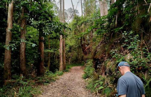 Casa Pelayin - Foto 64