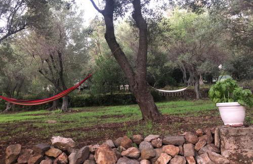 TENUTA TAURIANUM PanoramicHouse e PanoramicB&B - Photo 56