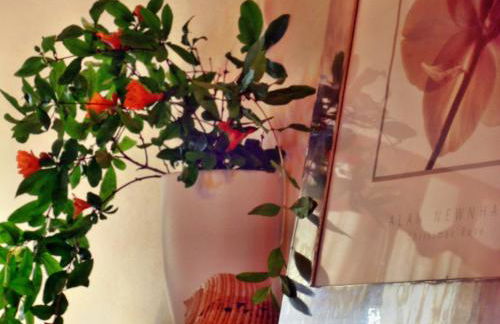 Ilios Studios - Foto 17