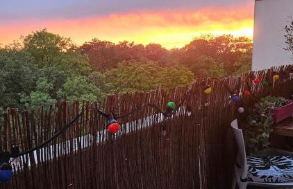 Reims Center Cathedral View - Foto 8