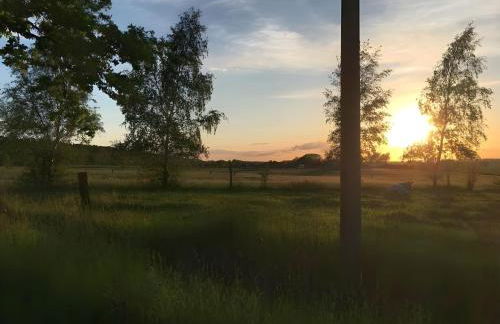 Ferienhaus Wichmannsdorf - Foto 29