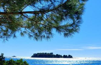 FAMILY APARTMENT ZRNKA s besplatnim parkingom - Photo 52