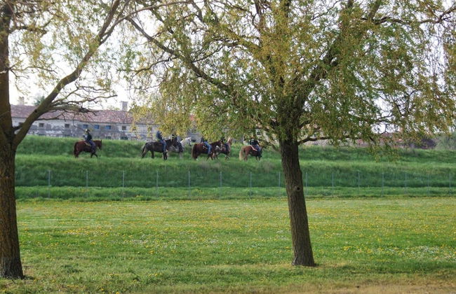 Agriturismo Sesta Presa - Foto 47