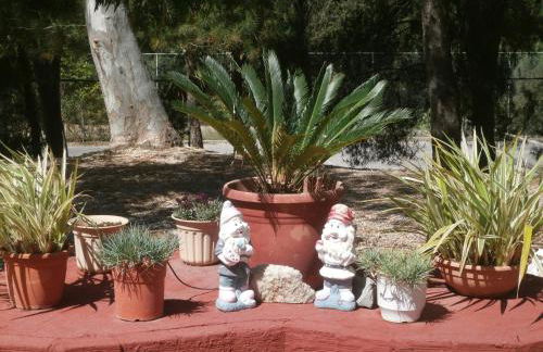 Kefallonia Bay Resort - Foto 41