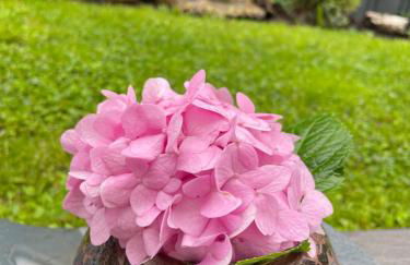 Gemütliche Wohnung idyllische Lage Nähe Frankfurt - Foto 11