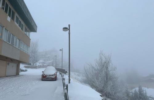 Biznaga Nevada - Foto 46