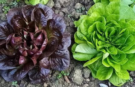 B&B Marana 14 Casa di Campagna - Foto 55