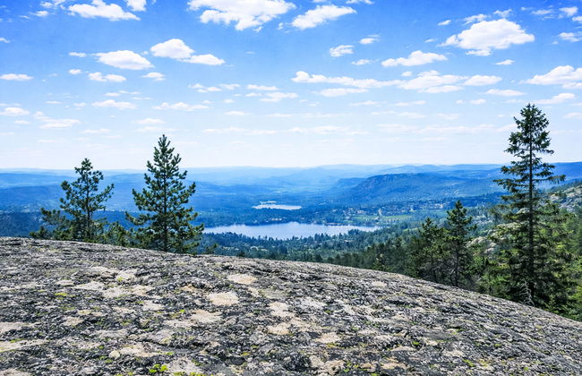 Fjellidyll - Foto 25