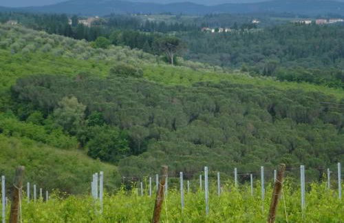FAETOLE typical Tuscan country house near FLORENCE - Foto 50