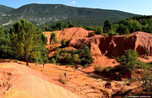 LA PROVENCE - '' TRAVELLER AWARD 2026 '' - Charming modern family apartment, pool & private parking near Avignon, fully renovated with interior-architect design - Foto 32