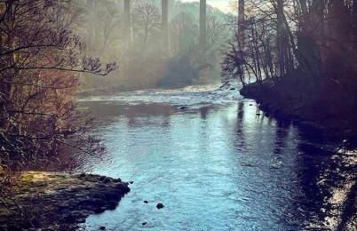 Castle View chalet - Photo 32