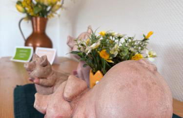 Ferienwohnungen Landhaus Stottmert - Foto 32