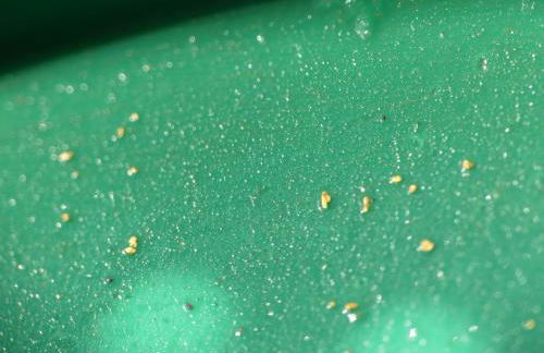 Casa Turismo Rural O FILANDÓN - Foto 24