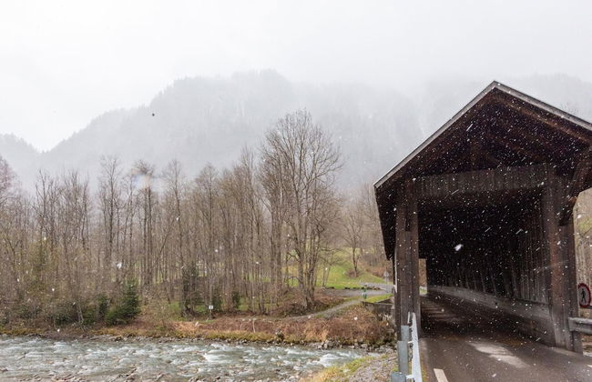 Apartment in Vorarlberg Near Ski Resort Montafon - Foto 42