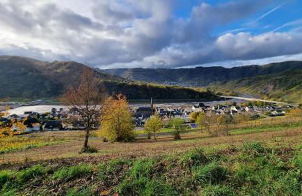 Moselzeit in Neef - Photo 20