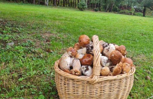 Dom Wakacyjny Brzozowy Gaj Bieszczady - Foto 50