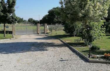 il boschetto da Tiziana - Foto 21