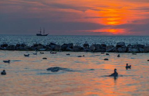 Zielony Zakątek - Foto 28