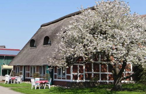 Ferienwohnungen von Schassen - Photo 22