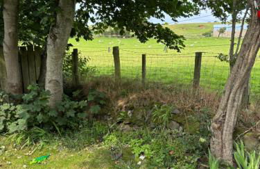 Rowan Tree Cottage, Ballycastle - Foto 17