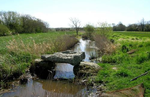Appartement face mer et aux pins - Foto 21