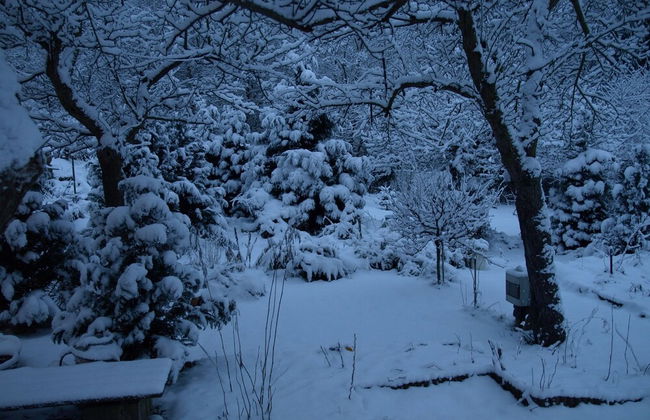 Ferienhaus Hagenwinkel - Foto 19