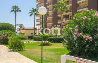 Koti Rentals - Doña Sofía - Foto 31