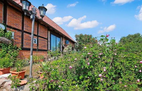 Ferienhaus Jabel - Photo 8