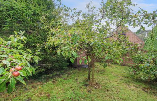 Coldharbour Farm Bungalow Annexe - Foto 22