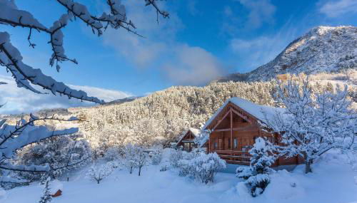 Chalet Carpe Diem - Foto 5, Garden view