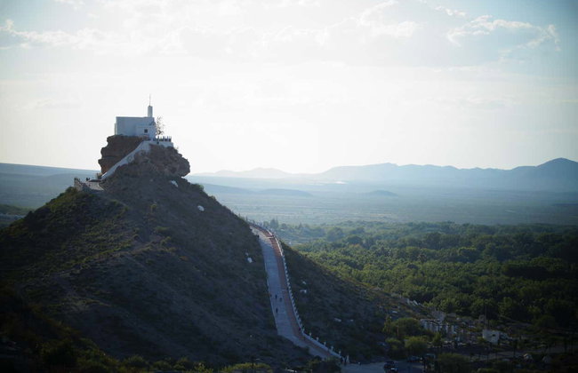 Tour privado por un viñedo de Parras de la Fuente - Foto 4