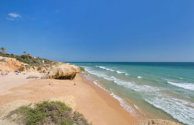 Flor de Maio - Foto 28