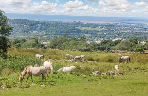 Ffynnon Bach - Foto 41