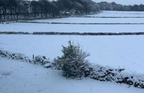 The Vogue Lodge - Photo 30