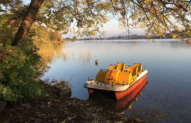 Brusisch 1638 - Photo 34