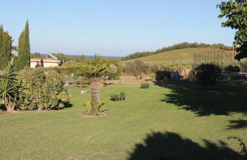 Il Pero Selvatico - Photo 7