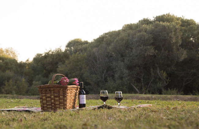 Nehema Manor - Foto 43