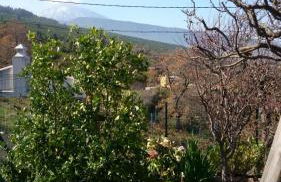 El pajar de Inés - Foto 26