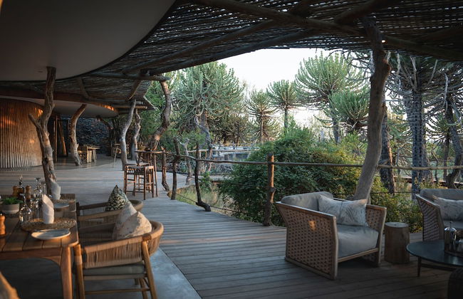 Euphorbia Mashatu - Foto 12