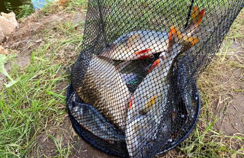 Dom w lesie przy stawach - Foto 58