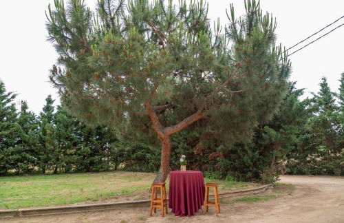 TURISME RURAL HORTA del PI - Foto 6