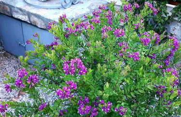 La Casa Del Sol Villa Aegina sea and Sunsets - Foto 65