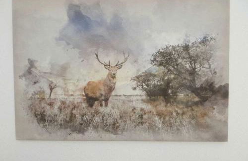 One-bedroom apartment - Foto 12