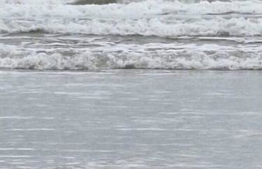 Apto Praia do Tombo - Foto 9